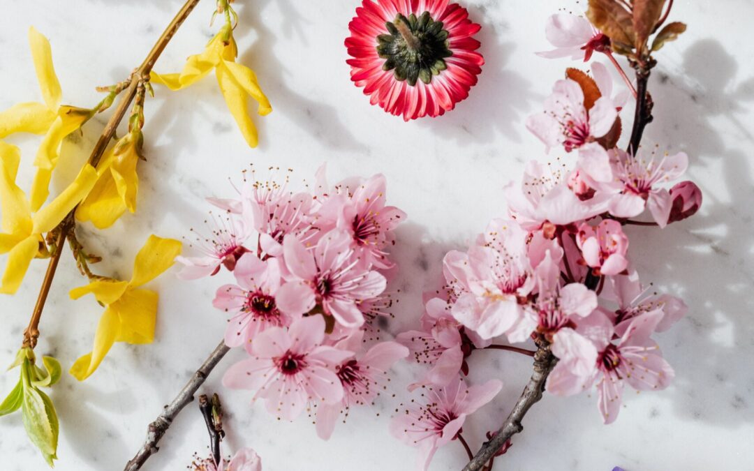 5 Spring Color Combos To Wow The Eye